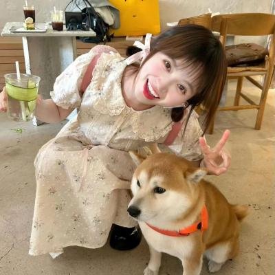 爱在旅途迟暮时